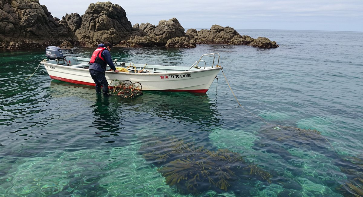 伊勢海老 仕掛け